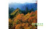 長(zhǎng)沙往返張家界、天子山、寶峰湖/黃龍洞三日游