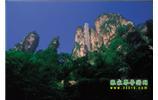 網(wǎng)絡(luò)熱門(mén)純玩游：張家界、天子山、袁家界、楊家界 自助三日游