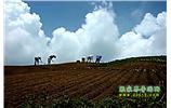 張家界、天子山、寶峰湖/黃龍洞、鳳凰古城、德夯大峽谷 苗族風(fēng)情五日游