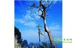 湘西之旅：張家界、天子山、寶峰湖/黃龍洞、鳳凰古城、猛洞河漂流、天門山六日游