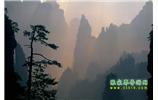 張家界國家森林公園、寶峰湖/黃龍洞、鳳凰古城、三峽八日游