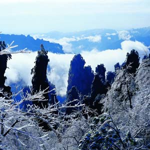 LD線：張家界、天子山、楊家界、猛洞河漂流純玩四日游