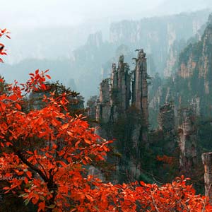休閑自駕E線：張家界、袁家界、天子山、寶峰湖、鳳凰古城、沱江泛舟四晚五日游